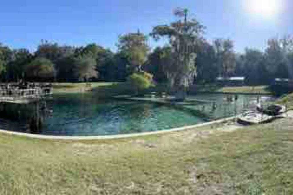 The Botanical Retreat, King Comfort & Poolside Peace Gainesville Exterior foto